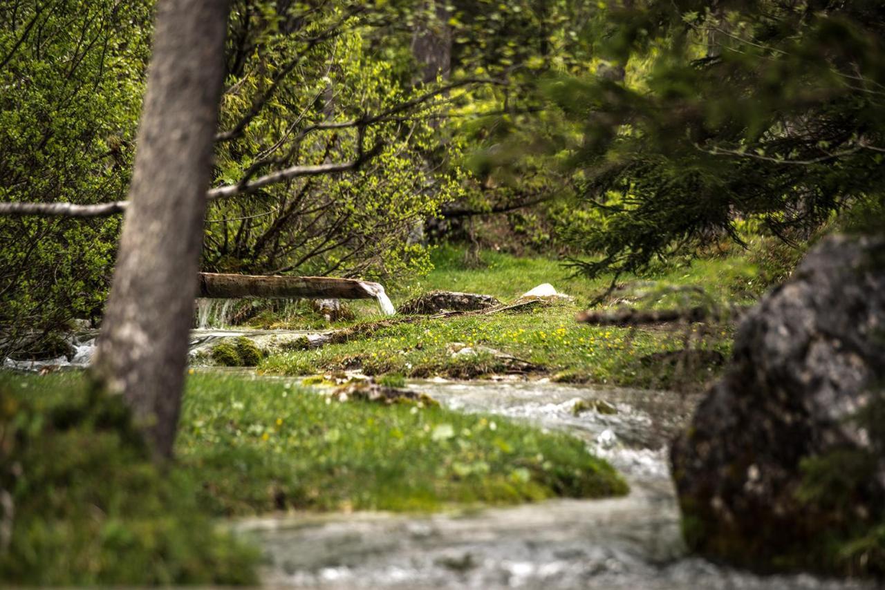 Hotel Garni Isarlodge Wiesenhof Scharnitz Εξωτερικό φωτογραφία